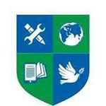 Millennium World School logo