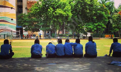 Mira Model School — photo 16