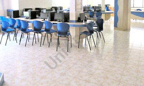 Mitra Academy — photo 8