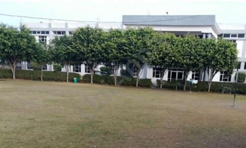 Modern International Senior Secondary School — photo 5