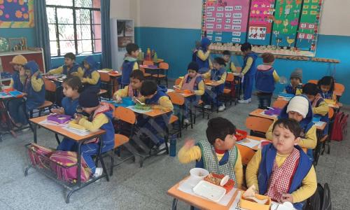 Modern School — photo 15