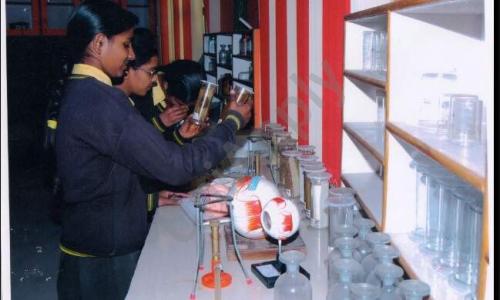 Modern Senior Secondary School — photo 7
