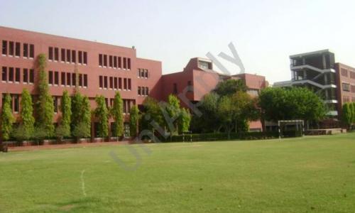 Montfort School — photo 2