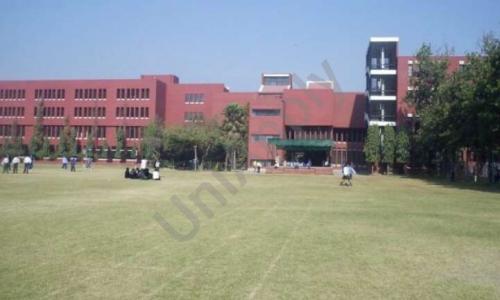 Montfort School — photo 6