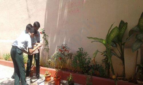 Morning Star English School — photo 2