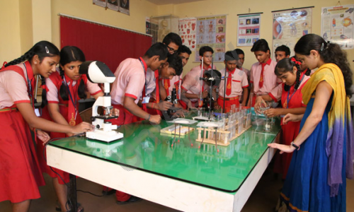 Mother Bless English High School — photo 2