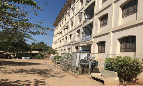 Mother Teresa Public School — photo 1