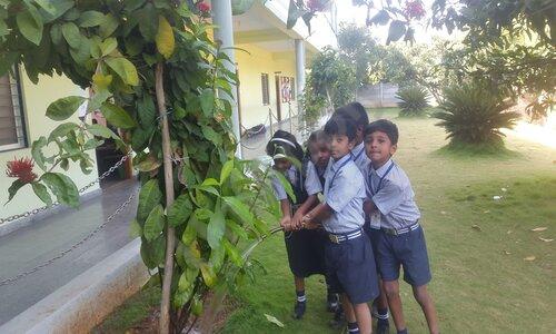 Moulya Gurukul International School — photo 2