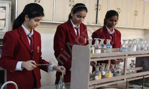 Mount Abu Public School — photo 5
