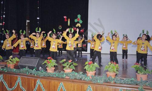 Mount Carmel Central School — photo 4