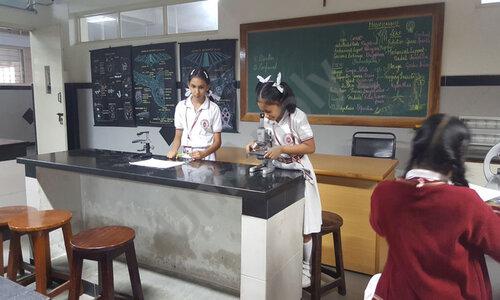 Mount Carmel Central School — photo 7