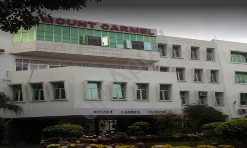 Mount Carmel School — photo 1