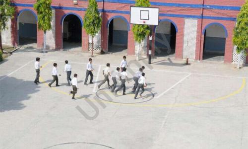 Mount View Public School — photo 7