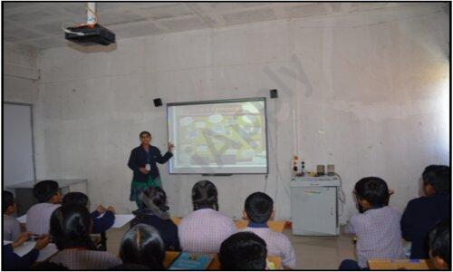MVP Sunrise School — photo 5