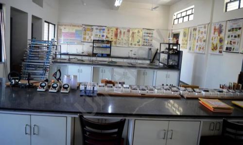 MVP Sunrise School — photo 10