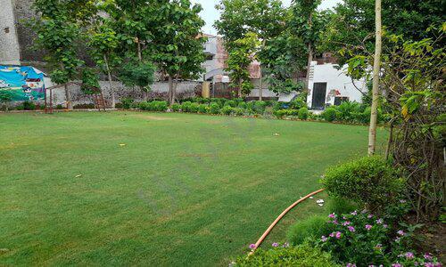 My Chhota School — photo 11