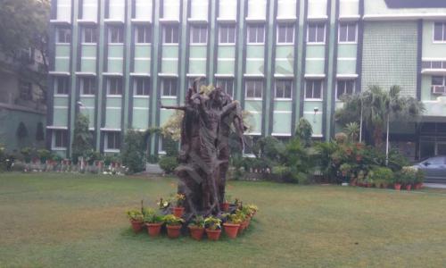 N.C. Jindal Public School — photo 6