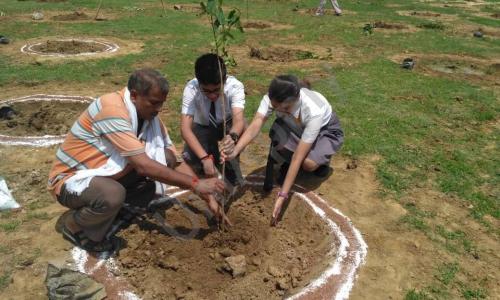 N. K. Bagrodia Public School — photo 7