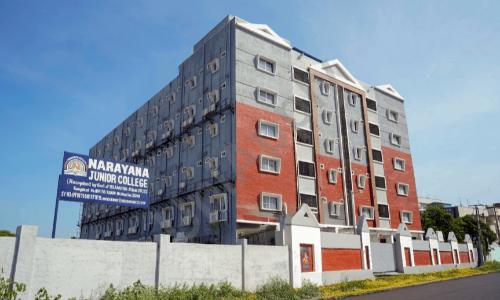 Narayana Pu College — photo 1