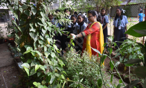 Narsinh Govindrao Vartak English Medium High School And Junior College — photo 4
