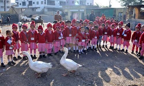 Nashik Cambridge School — photo 8