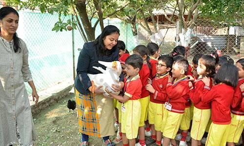 Nashik Cambridge School — photo 12