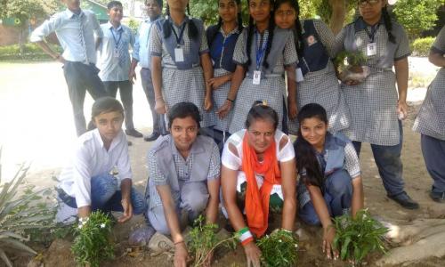 Nathu Ram Convent Senior Secondary School — photo 8