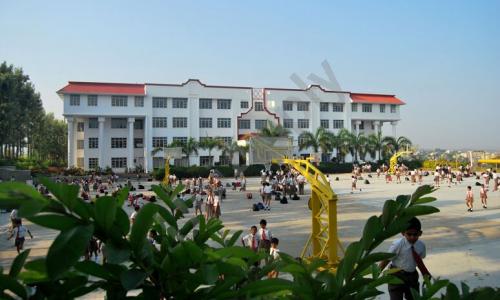 National Hill View Public School — photo 1
