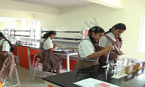 National Hill View Public School — photo 5