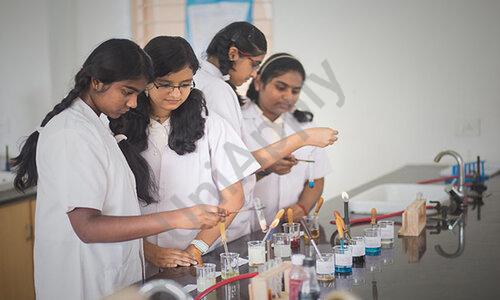 National Public School — photo 7