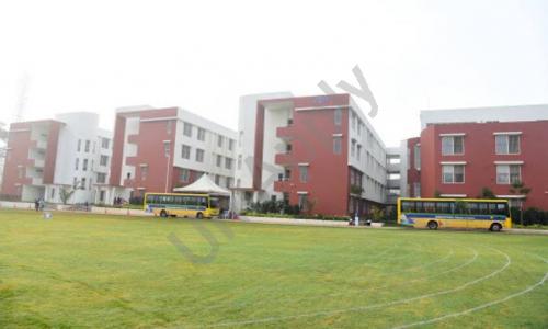National Public School — photo 9