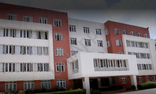 National Public School — photo 2