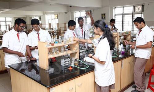 National Public School — photo 12