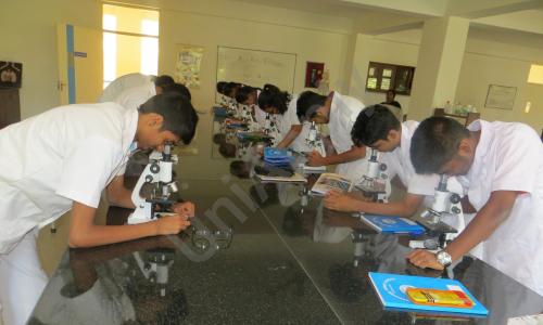 National Public School — photo 9
