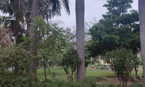 Nav Jiwan Public School — photo 3