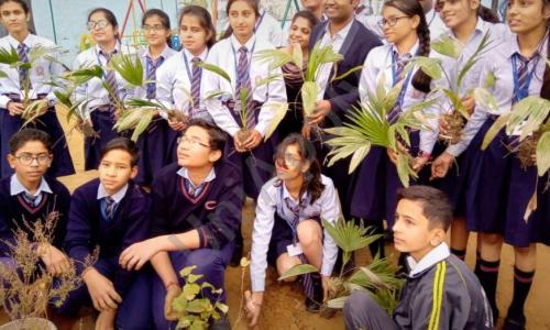 Navyug Convent Senior Secondary School — photo 2
