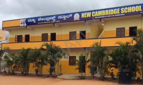 New Cambridge School — photo 1