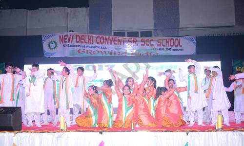 New Delhi Convent Senior Secondary School — photo 4