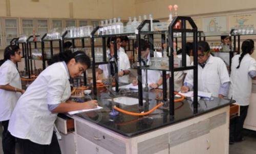 New Horizon Scholars School And Neo kids — photo 11