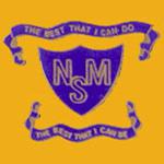 New Millennium School logo
