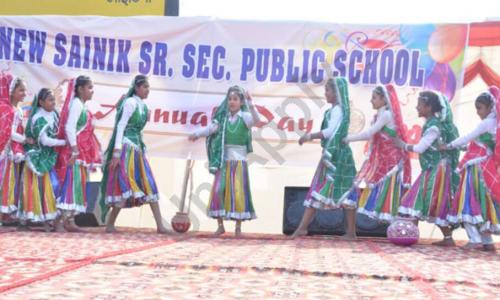 New Sainik Senior Secondary Public School — photo 3