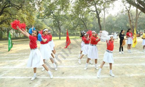 New Shalimar Public School — photo 5