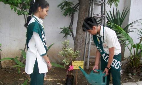 NGF Junior School — photo 4