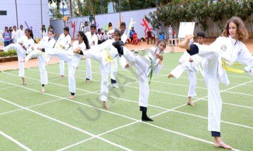 North Hills International School — photo 6