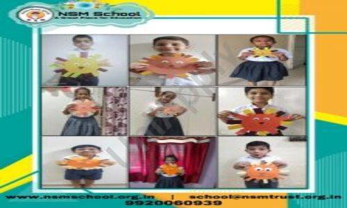 NSM School — photo 15