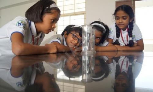 Nurture International School — photo 7