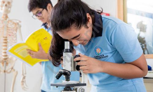 Oberoi International School — photo 8