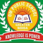 Om Public School logo