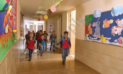 OPG World School — photo 9