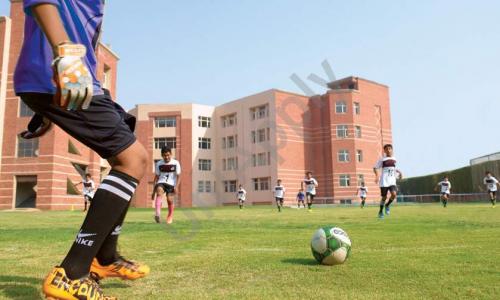 OPG World School — photo 14
